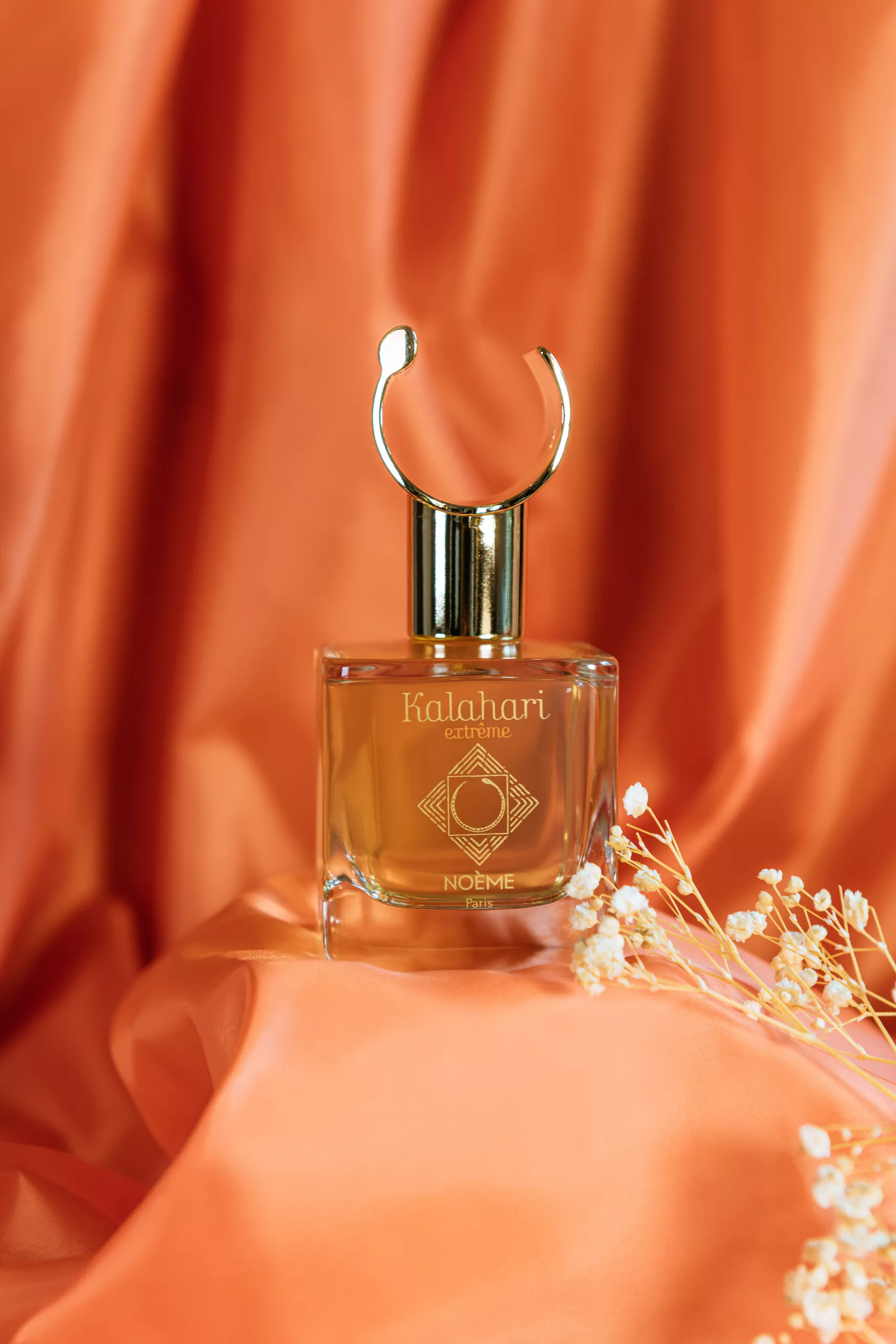 KALAHARI-EXTREME_7 Kalahari Extrême - Noème Paris – Image 1