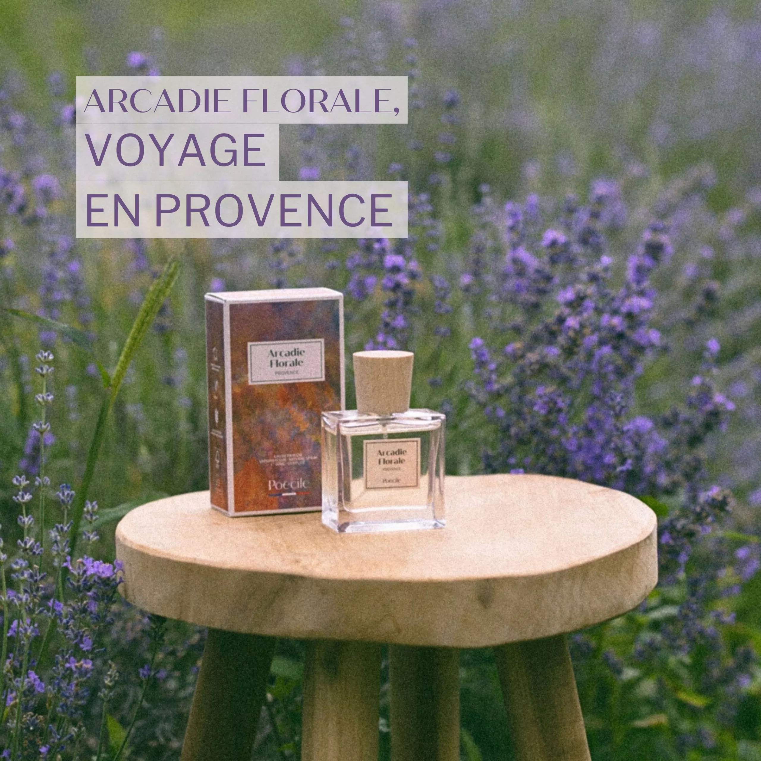 51 Arcadie Florale – Image 1