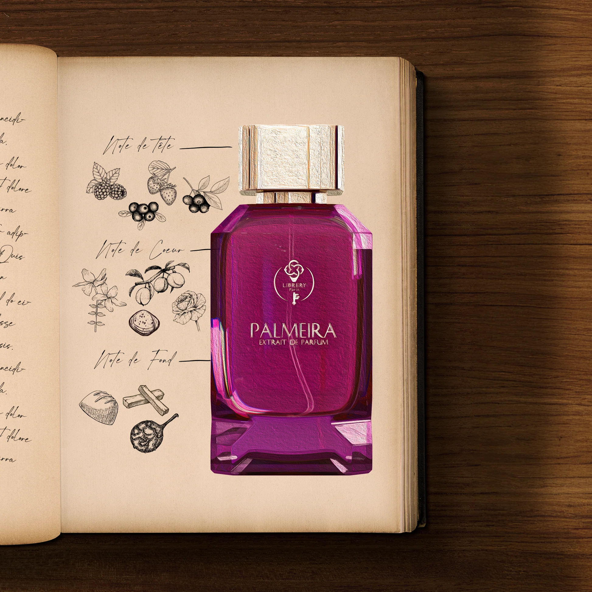 Palmeiravisu.png Palmeira – Image 1